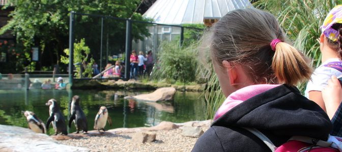 Klasse 2 im Krefelder Zoo